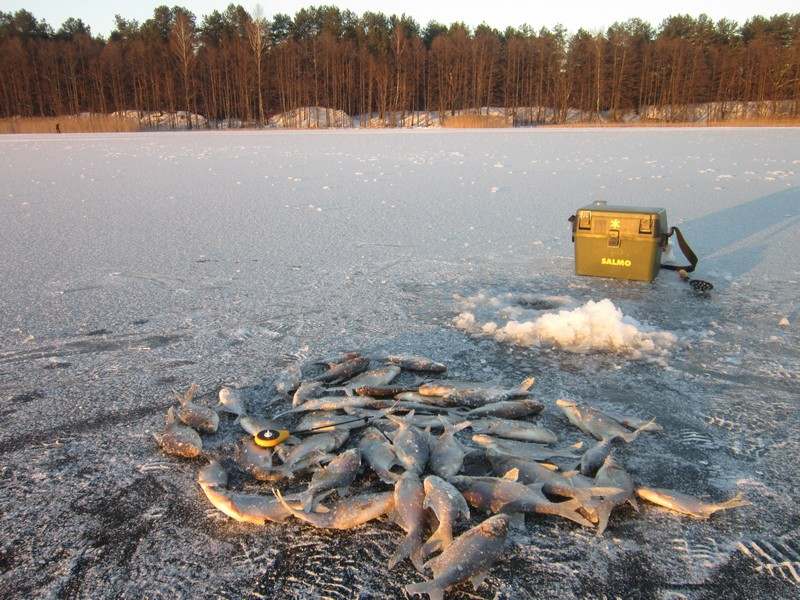 Ловля леща в глухозимье