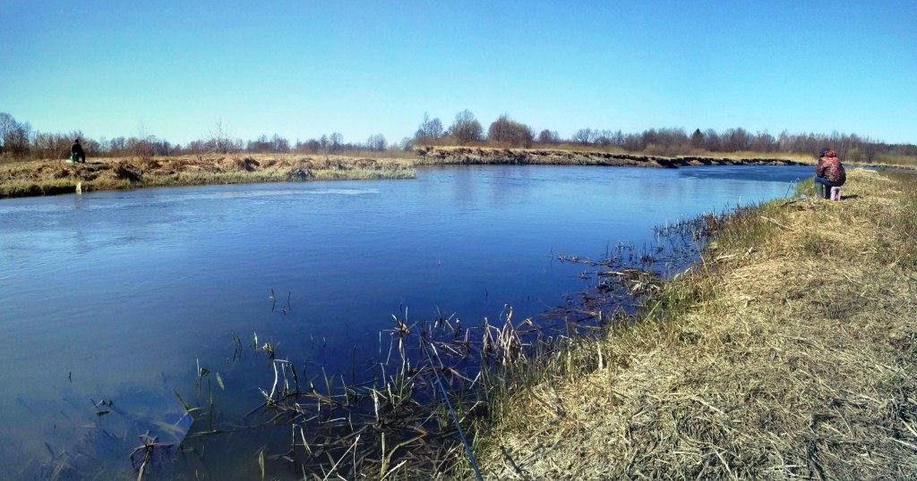 Река в минском районе. Минские реки. Питомник Птичь. Птичь..м.