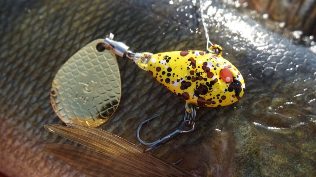 teil-spinner-LJ-Basara-Tail-Spin.jpg teil-spinner-LJ-Basara-Tail-Spin.jpg