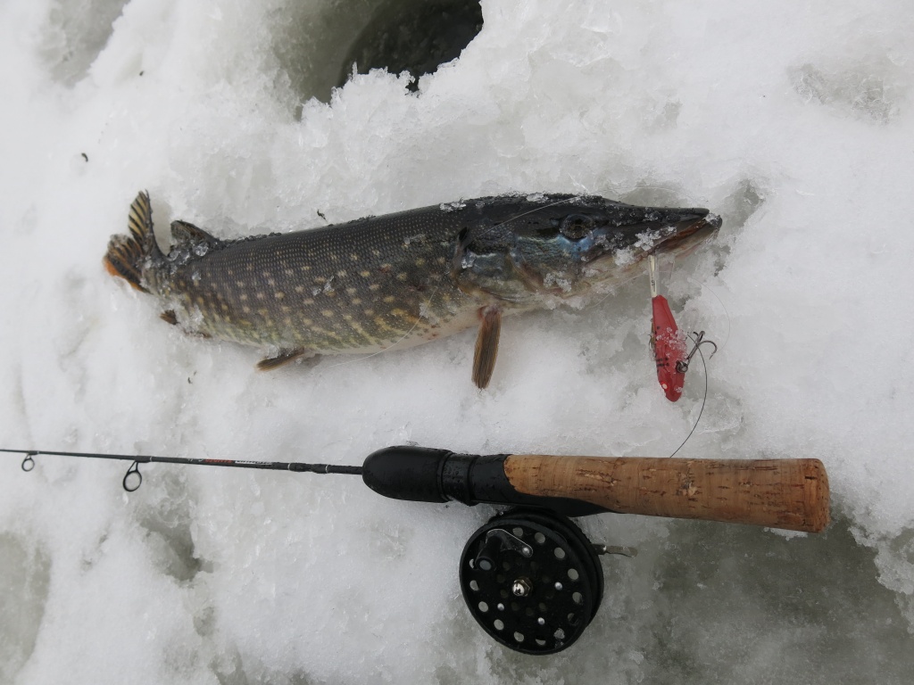 Рыбалка зимой на щуку на балансир - советы и рекомендации