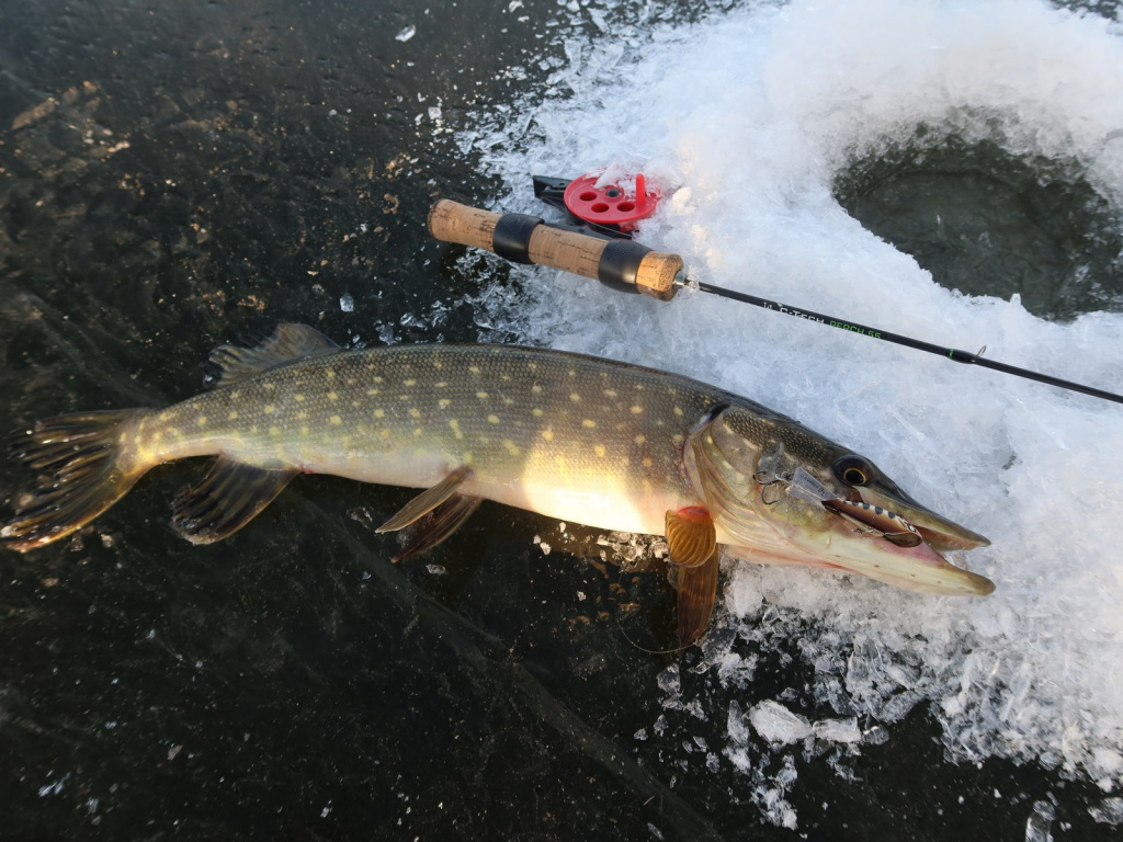 Зимние удочки для блеснения Lucky John C-Tech Perch, Team Salmo