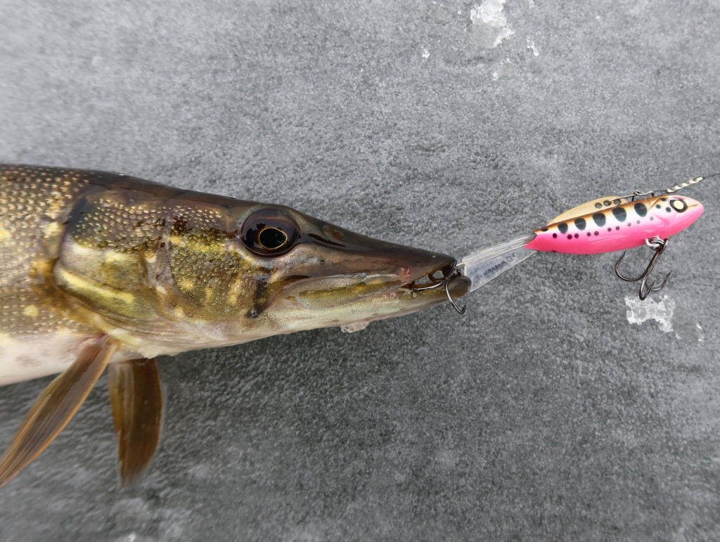 Джиг со льда: вертикальная рыбалка зимой | Магазин рыболовных снастей