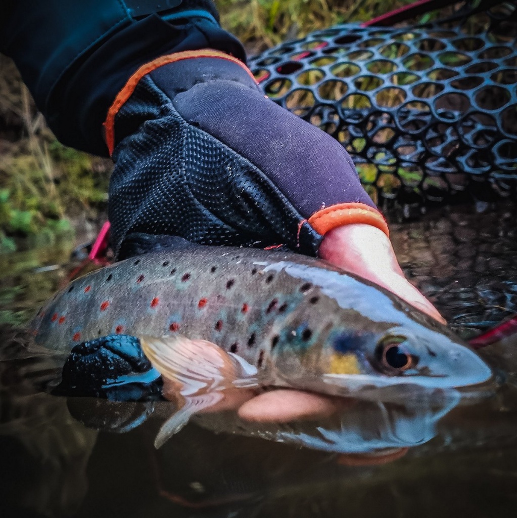 Буллер fishing - купить недорого