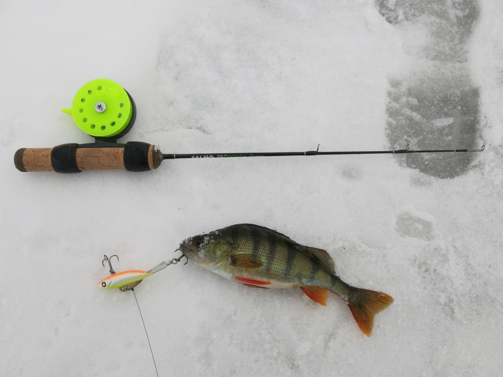 Зимние удочки для блеснения Lucky John C-Tech Perch, Team Salmo