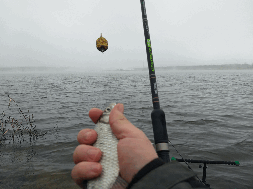 В помощь рыбаку
