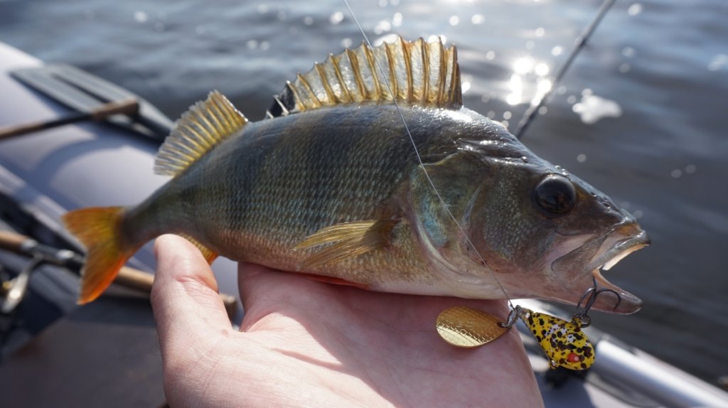 okun-i-teil-spinner.jpg okun-i-teil-spinner.jpg