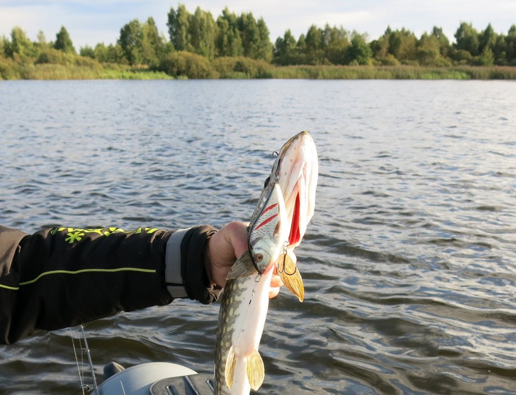 Джеркбейт - щучья приманка Джеркбейт - щучья приманка
